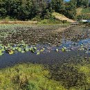 원주굽이길 5코스 호국의길 이미지