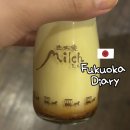 히카리케이크 | 유후인 푸딩 맛집 미르히 푸딩, 치즈케이크, 초코케이크 후기