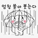 자연에너지신갈주유소 이미지
