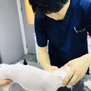 루이스24시동물병원 이미지