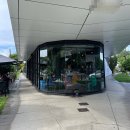 (주)아트쉐어 | [멜버른] 멜번에서 무경력으로 바리스타 취업 도전하기_1탄 (Feat. 3월에 오지 마세요..😇)