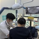 매일기공소 이미지