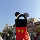 바다속PC게임랜드 | 홍콩 디즈니랜드 예약 방법 및 방문 후기 겨울왕국, 점심 햄버거 메뉴 후기