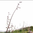 다래골가든 이미지