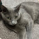 장수약국 | [결혼준비/웨딩밴드]종로 웨딩밴드 투어 후기_조이아 주얼리, 에버레이어 등(계약완료!)