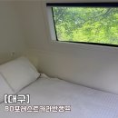 오로라캠프 | 대구 근교 카라반 80포레스트카라반캠프 팔공산 글램핑 추천