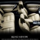 프리미엄렌트카 이미지