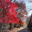 강산화원 이미지