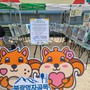 꿈꾸는 꼬마 예술가 이미지