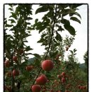 구천농장 이미지