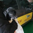 신림종합동물병원 이미지