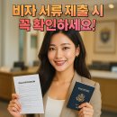 하나번역사사무소 | 해외 비자 서류 제출 전 꼭! 확인해야 할 꿀팁 총정리