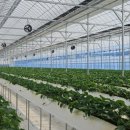 손가네 농장 이미지