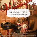 카페오늘 | 제주 크리스마스감성 사진관카페 오늘이크리스마스라면후기