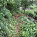 복중농장 이미지