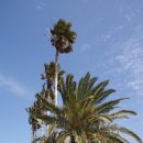 대정성지 이미지