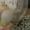 꽃다방아늑