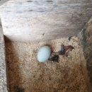 참사랑농원 이미지