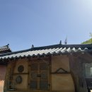 [경북/칠곡] 학선정 펜션(칠곡 촌캉스, 만족 1000%)