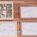 단콩 이미지