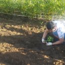 청룡동-38 이미지