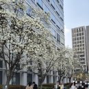 서울 코엑스 전시회 커피엑스포 관람후기 웨이팅