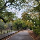 운화 | 비오는날 화양구곡 후기 운화둘레길 가을여행