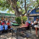 케이비치 이미지