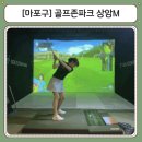 양지골프존파크스크린 | 마포 DMC역 디지털미디어시티역 스크린골프 골프존파크 상암M 후기