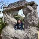 헬로우제주여행사