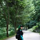 방화동 생태길 이미지