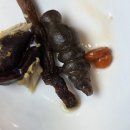 안성행운공인중개사사무소 | [천안 직산 맛집] 보약같은 한 그릇, '개성상황버섯삼계탕 천안직산점' 솔직 후기, 메뉴판, 주차장
