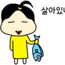 골든 커리 이미지