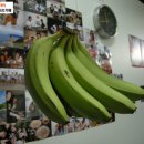 [호주어학연수] 바나나가 익어가는 사무실입니다~~ 이미지