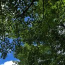 무돌길 | [광주러닝코스]광주 무돌길 1길 러닝 후기｜자연 속 3km 힐링코스