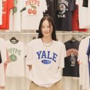 티마트 이미지