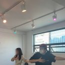 케이네스트