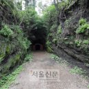 제주 셋알오름 일제 고사포진지 이미지