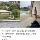 홉메이트 | 덥다