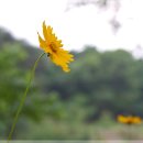 12월의 왈츠 민박 이미지