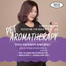 스퀘어독스 펫 이미지