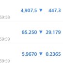 대조-011 이미지