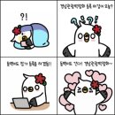 (주)동백관광 이미지