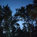 몽산포자동차야영장 이미지