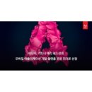 매직모바일 이미지