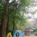 은영과일 - 해남군 읍내길 20-6 | 은영과일