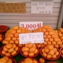 11500-17-51-16 | 51. 메리 뀰있으마스