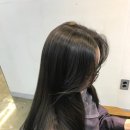 차은헤어샵