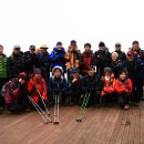 비비안나 이미지