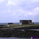 제주소랑 앤 팜스빌리지 | 제주도 펜션추천 &amp; 제주 숨은 관광지 신창풍차해안도로! 사진 찍기 좋아요~